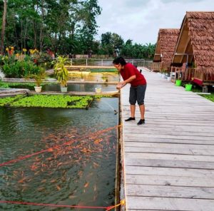 Desa Jenetallasa Disulap Jadi Wisata, Kolam Ikan hingga Sawah yang Hijau